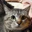おままのプロフィール画像