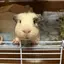 みのプロフィール画像