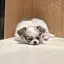 ゆーのプロフィール画像