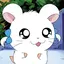 さんうぉにのプロフィール画像
