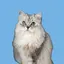 あゆのプロフィール画像