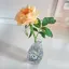 飛鳥のプロフィール画像