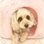 おかゆのプロフィール画像