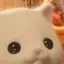 マコのプロフィール画像