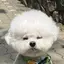 くるみのプロフィール画像