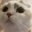 Pneneのプロフィール画像