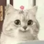 Rのプロフィール画像