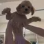 りんのプロフィール画像