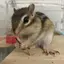 ともころなのプロフィール画像