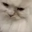 misaのプロフィール画像