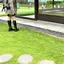 ピカチュウのプロフィール画像