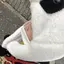 かび゛のプロフィール画像