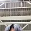 ヤノのプロフィール画像