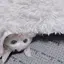 たむのプロフィール画像