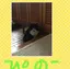 きよみのプロフィール画像