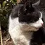 さのプロフィール画像