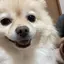 まりのプロフィール画像