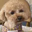 nattのプロフィール画像