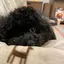Hiroのプロフィール画像