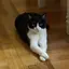 emmaのプロフィール画像