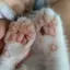 Rのプロフィール画像