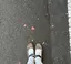 saeのプロフィール画像