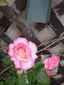 ゆんのプロフィール画像