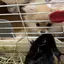 ありさのプロフィール画像