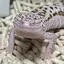 hotaruのプロフィール画像