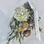 ほよまるのプロフィール画像
