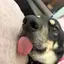 夏那のプロフィール画像