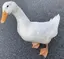 萌佳のプロフィール画像