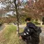 朔帆のプロフィール画像