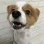 yoのプロフィール画像