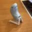 スズのプロフィール画像