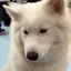 hinaのプロフィール画像