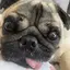 ⭐︎のプロフィール画像