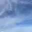 Mのプロフィール画像