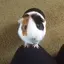 ♩♩♩のプロフィール画像