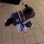 Eのプロフィール画像