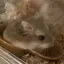 あおのプロフィール画像