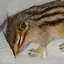 LiDARのプロフィール画像