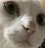 suuのプロフィール画像
