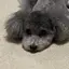 えつこのプロフィール画像