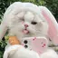 ぴぴのプロフィール画像