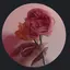💐のプロフィール画像