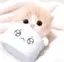 Mu._.uのプロフィール画像