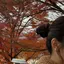 水琴のプロフィール画像