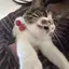 ゆうかのプロフィール画像