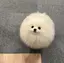 ‪‪のプロフィール画像